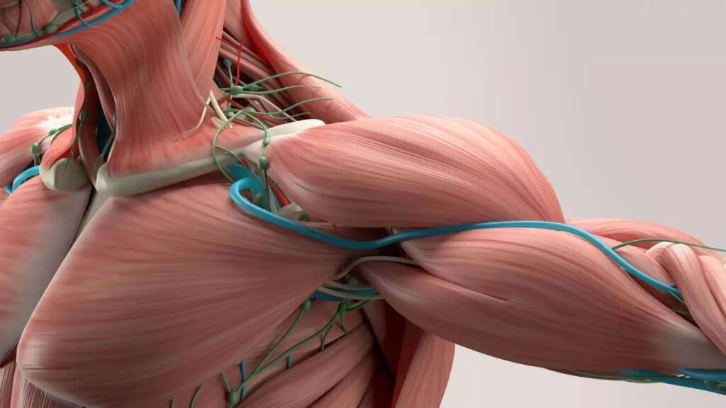 Thoracic Outlet Syndrome