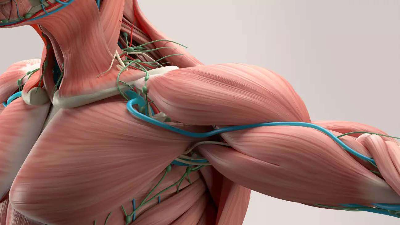 Thoracic Outlet Syndrome